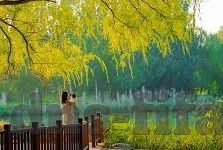 怎样彩足球比分-解锁足球比分预测，科学方法与策略指南